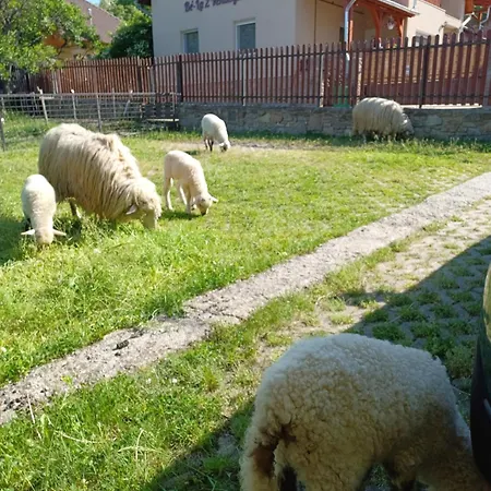 Vendégház Bé-la 2 Szomolya